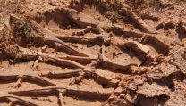 Choosing the Right Tires for Desert Terrain — What Works in the Mojave