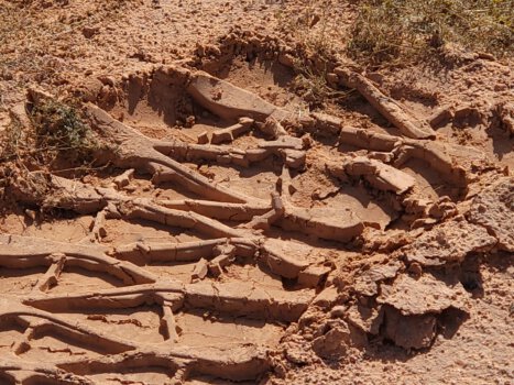 Choosing the Right Tires for Desert Terrain — What Works in the Mojave