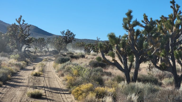 Overlanding on a Budget — Getting Started Without Going Broke