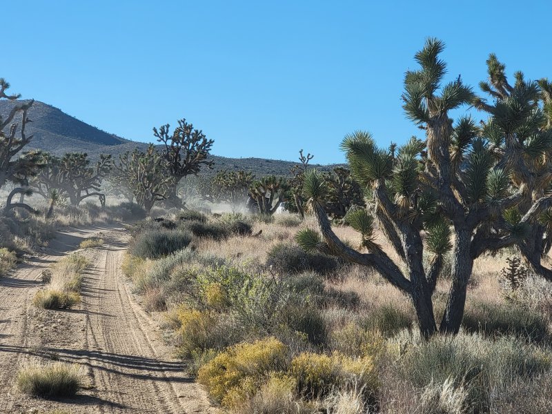 Overlanding on a Budget — Getting Started Without Going Broke