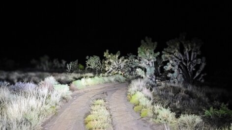 Desert Survival Skills and Emergency Preparedness — What to Know Before You Need It
