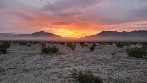 Best Seasons for Different Mojave Regions — When to Go Where