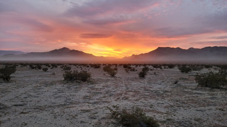 Best Seasons for Different Mojave Regions — When to Go Where