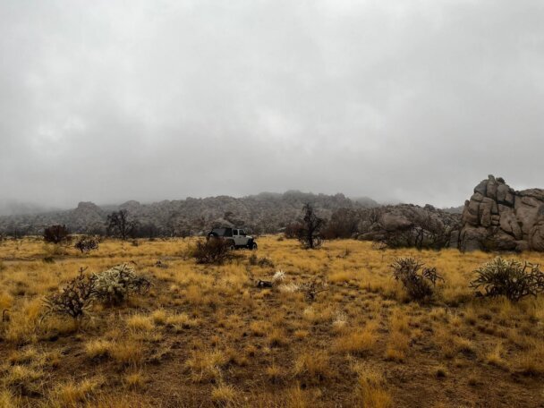 Desert landscape at Mojave National Preserve