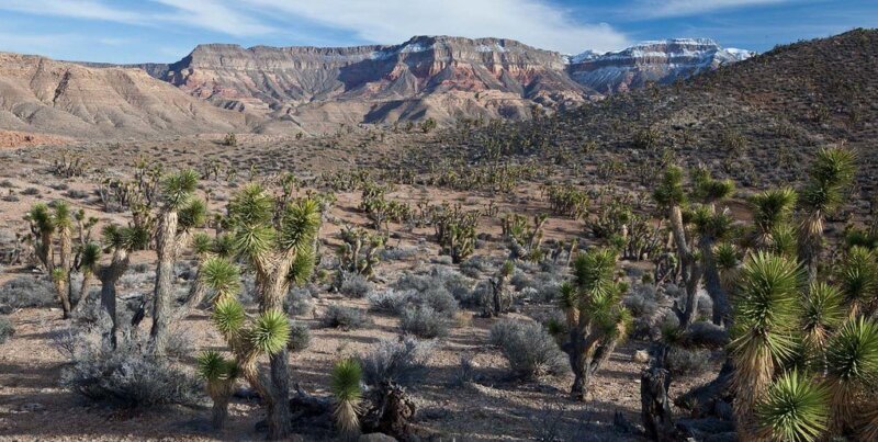 Remote desert terrain on the Arizona Strip