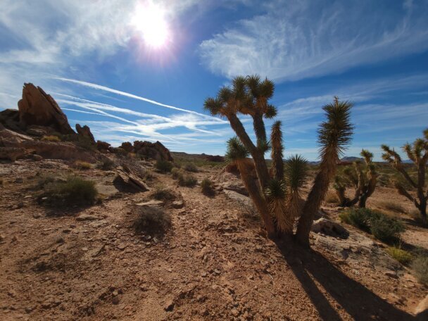 Eroded sandstone formations at Gold Butte National Monument