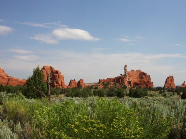 Sandstone chimney formations at Kodachrome Basin State Park