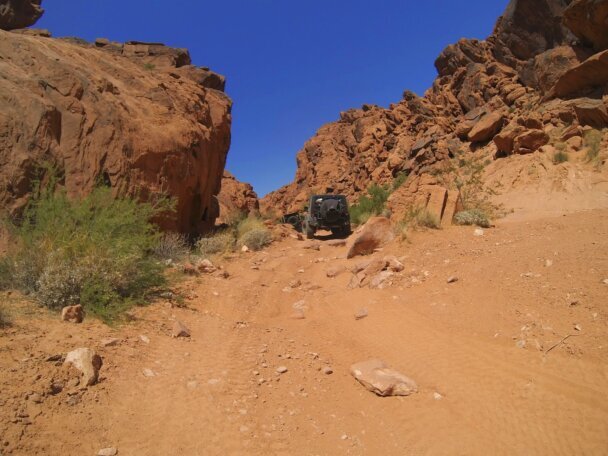Desert trail terrain at Logandale Trails