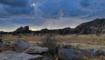 Why I Camp Alone in the Mojave (And Why You Should Try It Too)