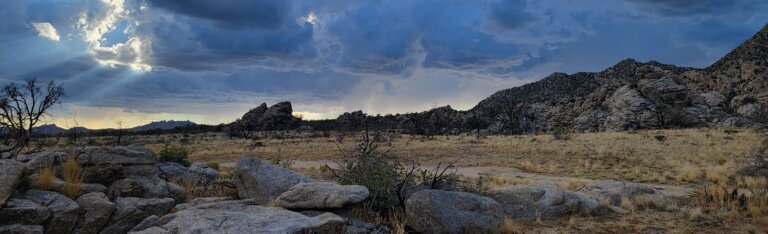 Why I Camp Alone in the Mojave (And Why You Should Try It Too)