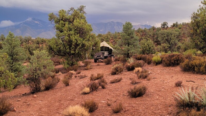 A rooftop tent camp tucked into trees with desert mountains in the background